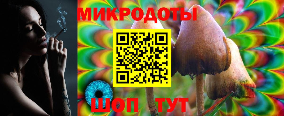 Псилоцибиновые грибы мицелий Уссурийск